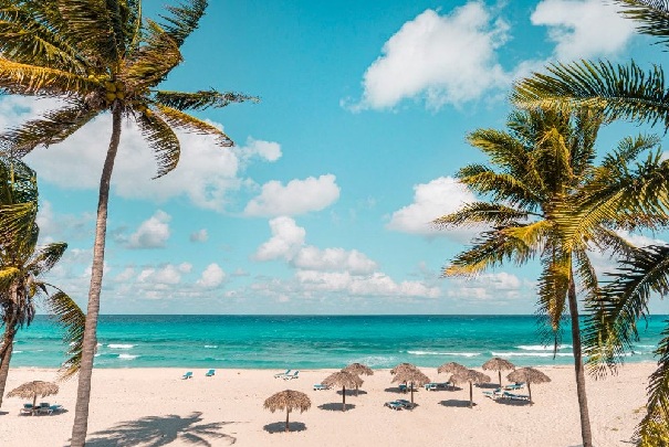 Tropical beach with palm trees, thatched umbrellas, lounge chairs, and turquoise ocean under a clear sky.