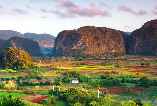 Lush valley with green and red fields, scattered palm trees, and rounded limestone hills under a pastel sky.